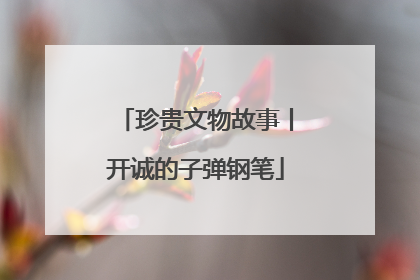 珍贵文物故事丨开诚的子弹钢笔