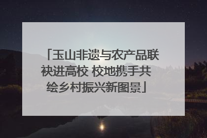 玉山非遗与农产品联袂进高校 校地携手共绘乡村振兴新图景