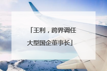 王利，跨界调任大型国企董事长