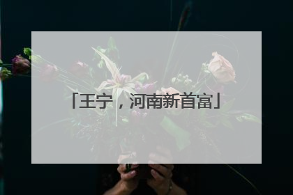 王宁，河南新首富