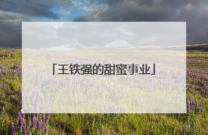 王铁强的甜蜜事业