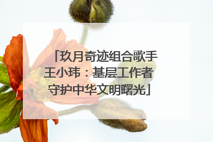 玖月奇迹组合歌手王小玮：基层工作者守护中华文明曙光