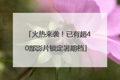 火热来袭！已有超40部影片锁定暑期档