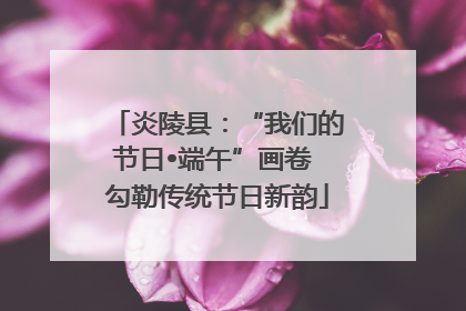 炎陵县：“我们的节日•端午”画卷 勾勒传统节日新韵