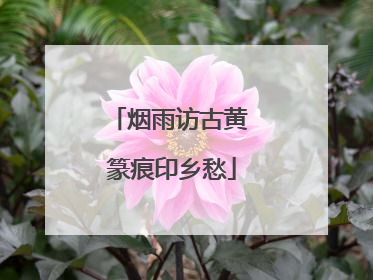 烟雨访古黄 篆痕印乡愁
