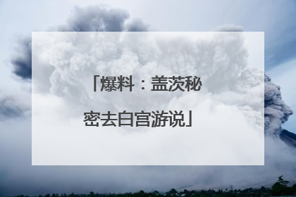 爆料：盖茨秘密去白宫游说