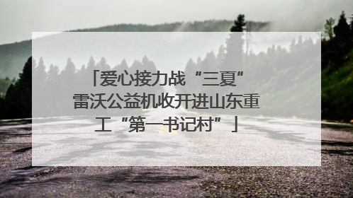 爱心接力战“三夏” 雷沃公益机收开进山东重工“第一书记村”