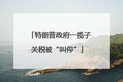 特朗普政府一揽子关税被“叫停”