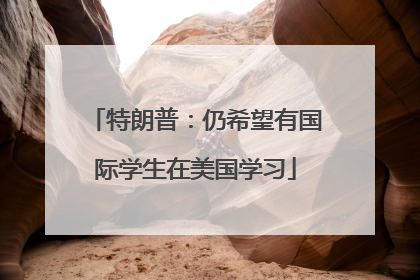 特朗普：仍希望有国际学生在美国学习