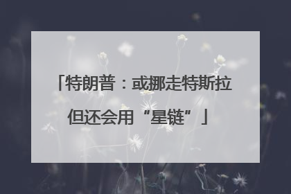 特朗普：或挪走特斯拉 但还会用“星链”