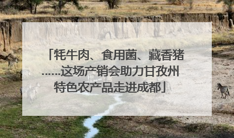 牦牛肉、食用菌、藏香猪……这场产销会助力甘孜州特色农产品走进成都