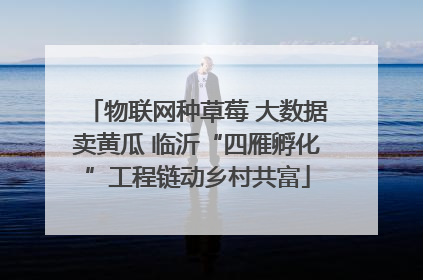 物联网种草莓 大数据卖黄瓜 临沂“四雁孵化”工程链动乡村共富