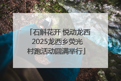 石斛花开 悦动龙西 2025龙西乡荧光村跑活动圆满举行