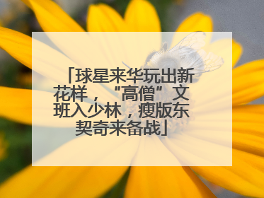 球星来华玩出新花样，“高僧”文班入少林，瘦版东契奇来备战