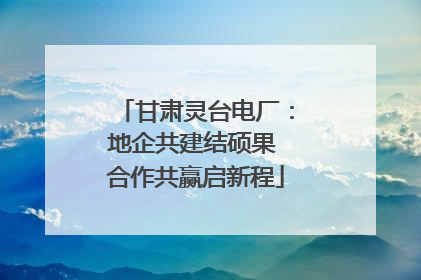 甘肃灵台电厂：地企共建结硕果 合作共赢启新程