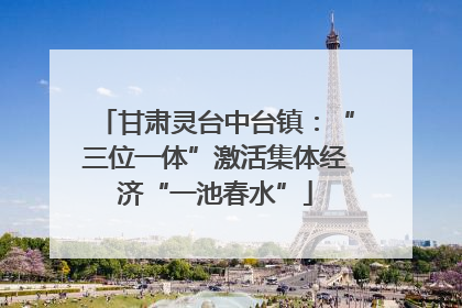 甘肃灵台中台镇：“三位一体”激活集体经济“一池春水”