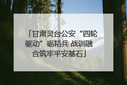 甘肃灵台公安“四轮驱动”砺精兵 战训融合筑牢平安基石