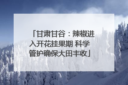 甘肃甘谷：辣椒进入开花挂果期 科学管护确保大田丰收