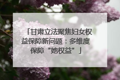 甘肃立法聚焦妇女权益保障新问题：多维度保障“她权益”