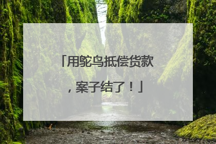 用鸵鸟抵偿货款，案子结了！