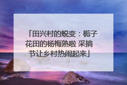 田兴村的蜕变：栀子花田的杨梅熟啦 采摘节让乡村热闹起来
