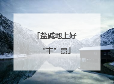 盐碱地上好“丰”景