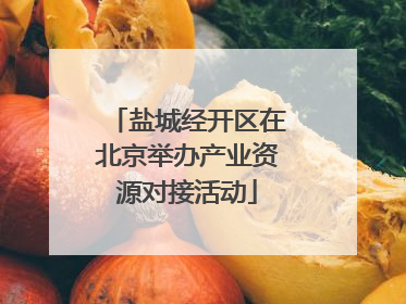 盐城经开区在北京举办产业资源对接活动