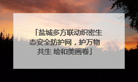 盐城多方联动织密生态安全防护网，护万物共生 绘和美画卷