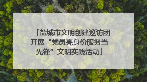 盐城市文明创建巡访团开展“党员亮身份服务当先锋”文明实践活动