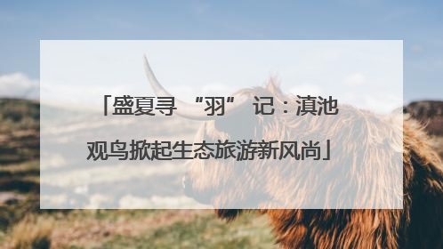 盛夏寻 “羽” 记：滇池观鸟掀起生态旅游新风尚