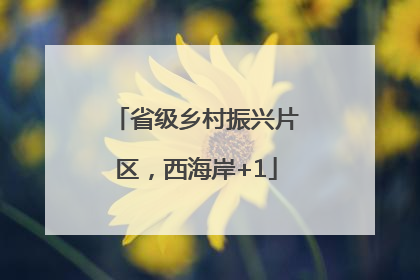 省级乡村振兴片区，西海岸+1