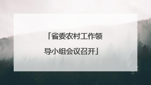 省委农村工作领导小组会议召开