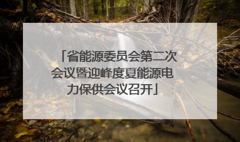 省能源委员会第二次会议暨迎峰度夏能源电力保供会议召开