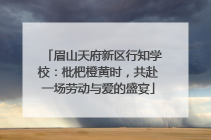 眉山天府新区行知学校：枇杷橙黄时，共赴一场劳动与爱的盛宴