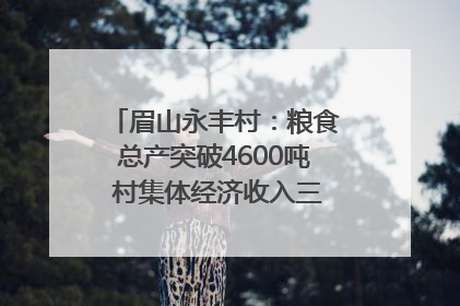 眉山永丰村：粮食总产突破4600吨 村集体经济收入三年倍增｜牵挂的村