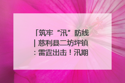 筑牢“汛”防线｜慈利县二坊坪镇：雷霆出击！汛期捕鱼被紧急叫停
