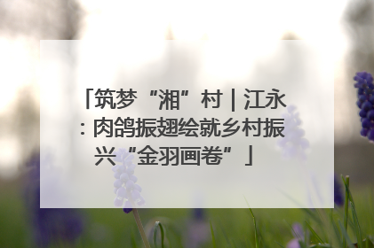 筑梦“湘”村｜江永：肉鸽振翅绘就乡村振兴“金羽画卷”