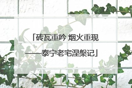 砖瓦重吟 烟火重现——泰宁老宅涅槃记