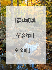 福建明溪：侨乡绿叶变金叶