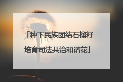 种下民族团结石榴籽 培育司法共治和谐花