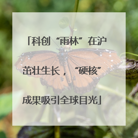 科创“雨林”在沪茁壮生长，“硬核”成果吸引全球目光