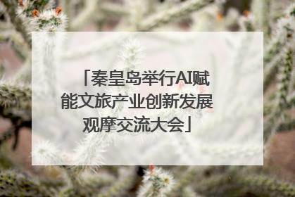 秦皇岛举行AI赋能文旅产业创新发展观摩交流大会