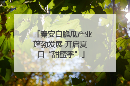 秦安白脆瓜产业蓬勃发展 开启夏日“甜蜜季”