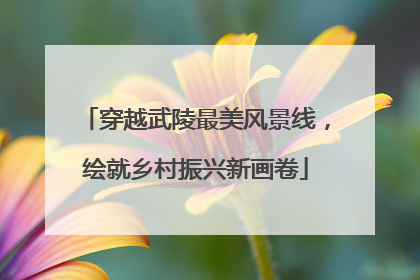 穿越武陵最美风景线，绘就乡村振兴新画卷