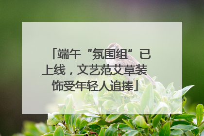 端午“氛围组”已上线，文艺范艾草装饰受年轻人追捧