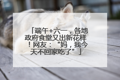 端午+六一，各地政府食堂又出新花样！网友：“妈，我今天不回家吃了”