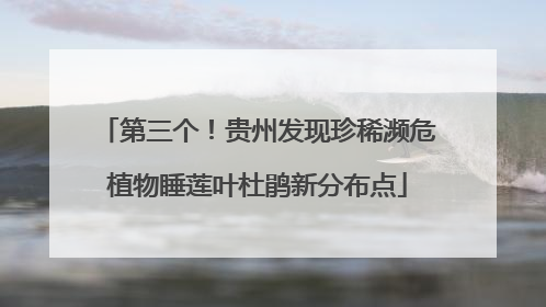第三个！贵州发现珍稀濒危植物睡莲叶杜鹃新分布点