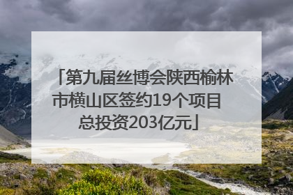 第九届丝博会陕西榆林市横山区签约19个项目 总投资203亿元