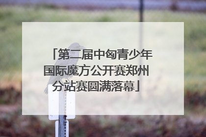 第二届中匈青少年国际魔方公开赛郑州分站赛圆满落幕