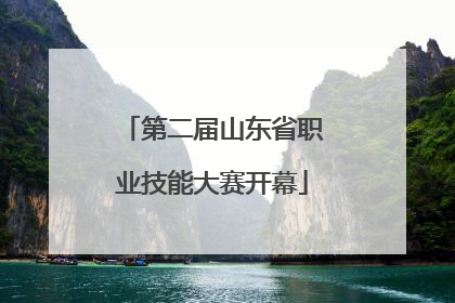 第二届山东省职业技能大赛开幕